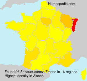 Surname Schauer in France
