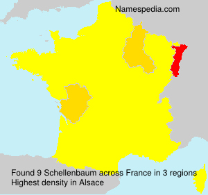 Surname Schellenbaum in France