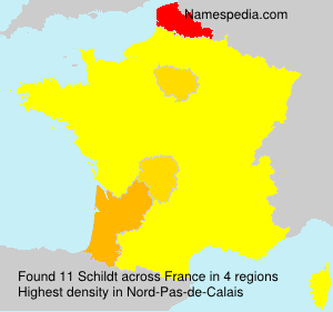 Surname Schildt in France