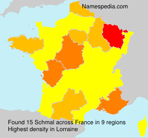 Surname Schmal in France
