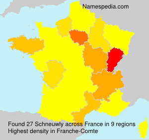 Surname Schneuwly in France