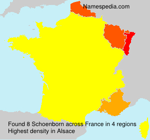 Surname Schoenborn in France