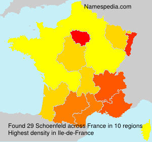 Surname Schoenfeld in France