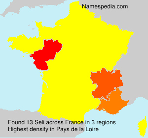Surname Seli in France