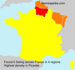 Surname Seling in France