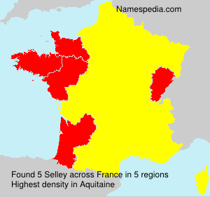 Surname Selley in France