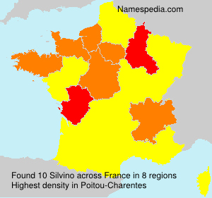 Surname Silvino in France