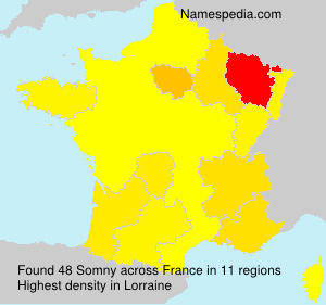Surname Somny in France