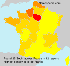 Surname Souin in France