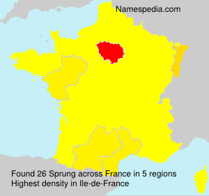 Surname Sprung in France