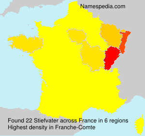 Surname Stiefvater in France