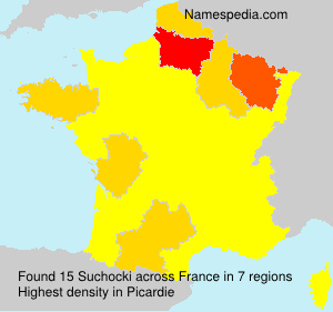 Surname Suchocki in France