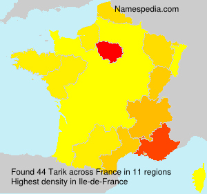 Surname Tarik in France