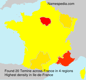 Surname Temine in France