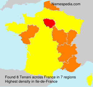 Surname Tenani in France