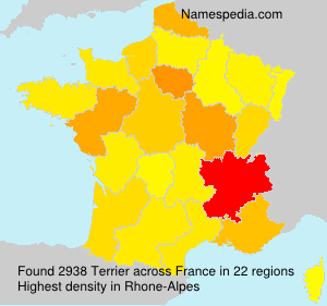 Surname Terrier in France