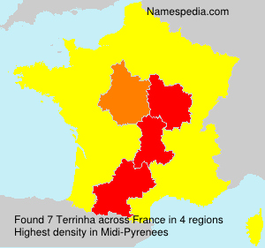 Surname Terrinha in France