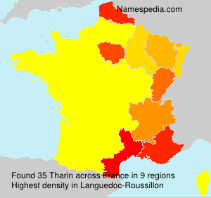 Surname Tharin in France