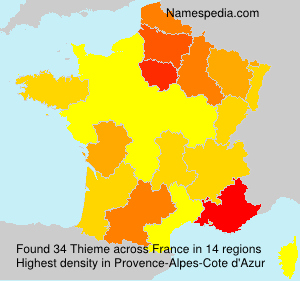 Surname Thieme in France