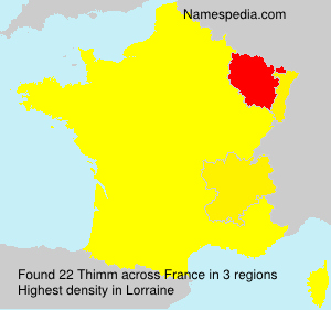 Surname Thimm in France