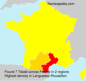 Surname Tibald in France