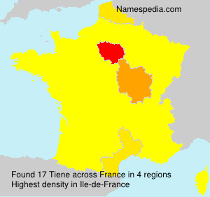 Surname Tiene in France