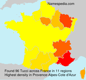 Surname Tucci in France