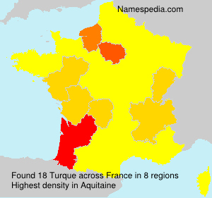 Surname Turque in France