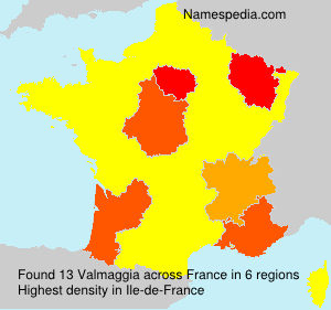 Surname Valmaggia in France
