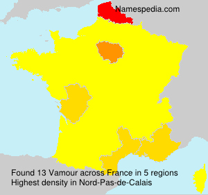 Surname Vamour in France
