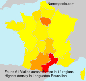 Surname Vialles in France