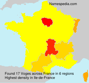 Surname Voges in France