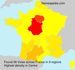 Surname Voise in France