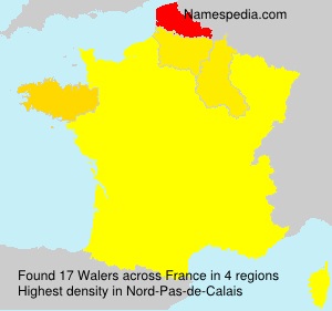 Surname Walers in France