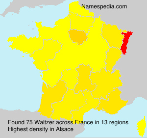 Surname Waltzer in France