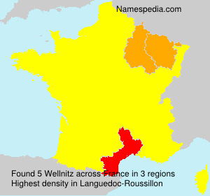 Surname Wellnitz in France