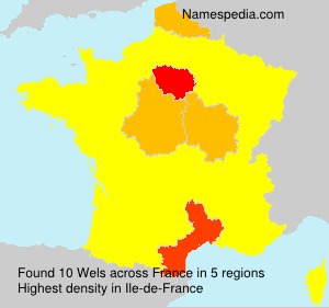 Surname Wels in France