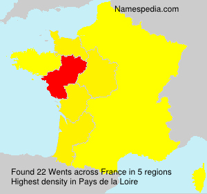 Surname Wents in France