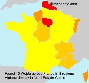 Surname Wojda in France