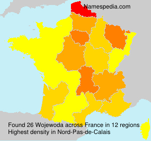 Surname Wojewoda in France