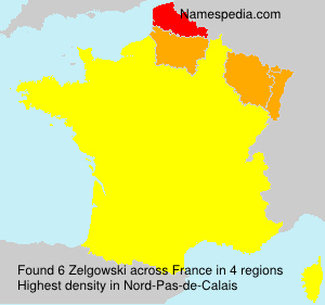 Surname Zelgowski in France