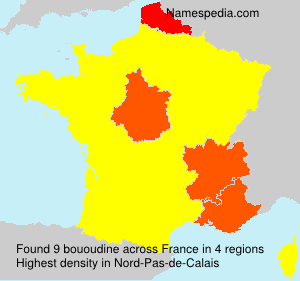 Surname bououdine in France