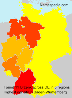 Surname Brzenk in Germany