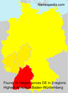 Surname Haiges in Germany
