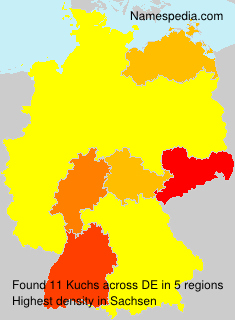 Surname Kuchs in Germany