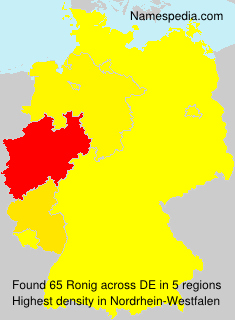 Surname Ronig in Germany