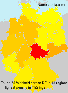 Surname Wohlfeld in Germany