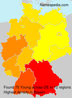 Surname Young in Germany