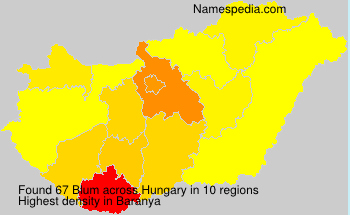 Surname Blum in Hungary