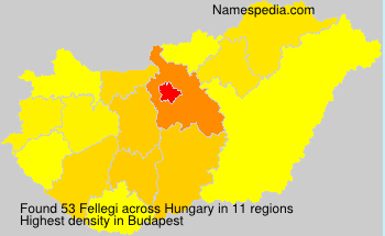 Surname Fellegi in Hungary